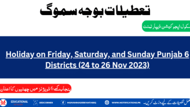Holiday on Friday, Saturday, and Sunday Punjab 6 Divisions 24 to 26 Nov 2023