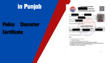 How to Get Police Character Certificate in Punjab?