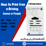 How To Print Free e-Driving License Punjab