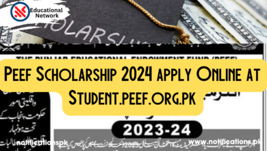 Peef Scholarship 2024 apply Online at Student.peef.org.pk