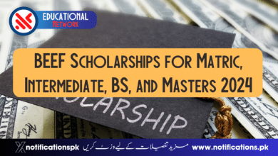 BEEF Scholarships for Matric, Intermediate, BS, and Masters 2024