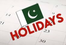Sindh Govt Announced Holiday in Educational Institutions on 26 February