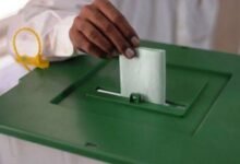 Elections 2024: How to Cast Your Vote in Step-by-Step Guide
