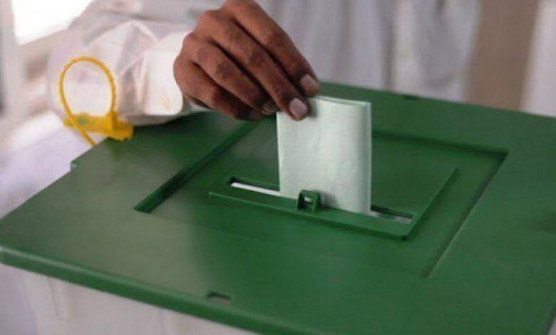 Elections 2024: How to Cast Your Vote in Step-by-Step Guide