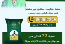 Punjab Launches Complaint Helpline for Citizen