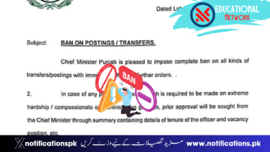 CM Punjab Imposes Ban on Transfers and Postings
