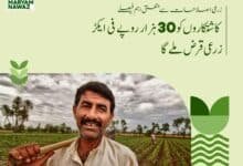 Punjab Launches Nawaz Sharif Kissan Card Program, A Boon for Small-Scale Farmers